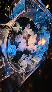 マクセル アクアパーク品川に投稿された画像（2025/10/11）