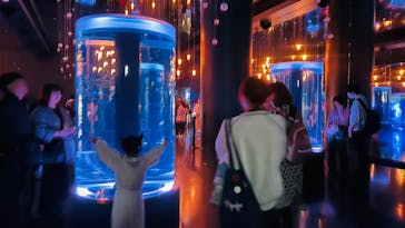 マクセル アクアパーク品川に投稿された画像（2025/10/11）