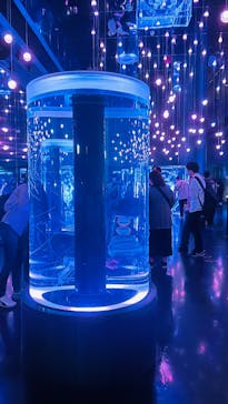 マクセル アクアパーク品川に投稿された画像（2025/10/11）