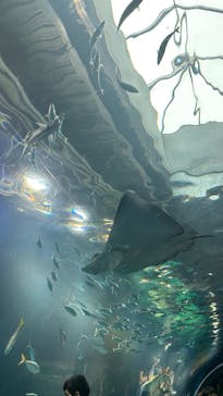 マクセル アクアパーク品川に投稿された画像（2025/10/11）