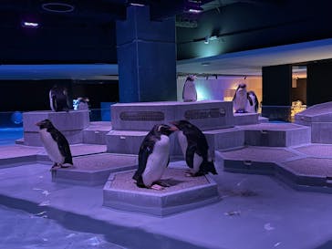 AOAO SAPPOROに投稿された画像（2025/10/11）