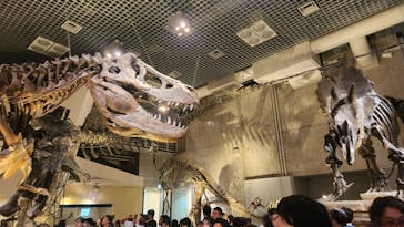 国立科学博物館に投稿された画像（2025/10/11）