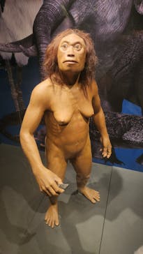 国立科学博物館に投稿された画像（2025/10/11）