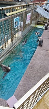 伊豆・三津シーパラダイスに投稿された画像（2025/10/11）