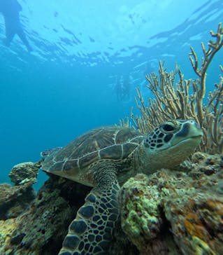  マリンショップHAPPYに投稿された画像（2025/10/11）