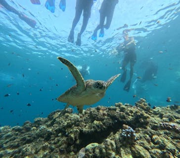  マリンショップHAPPYに投稿された画像（2025/10/11）