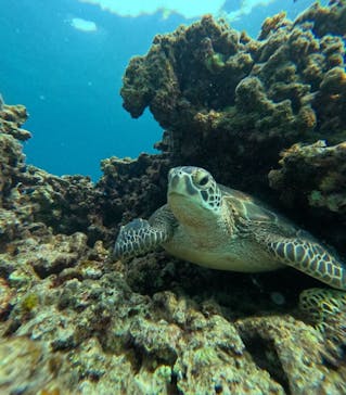  マリンショップHAPPYに投稿された画像（2025/10/11）