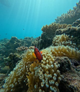  マリンショップHAPPYに投稿された画像（2025/10/11）