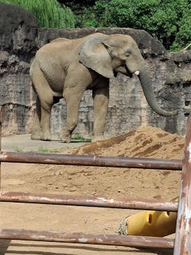 多摩動物公園に投稿された画像（2025/10/11）