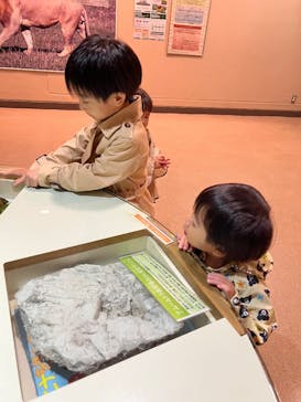 静岡市立日本平動物園に投稿された画像（2025/10/11）