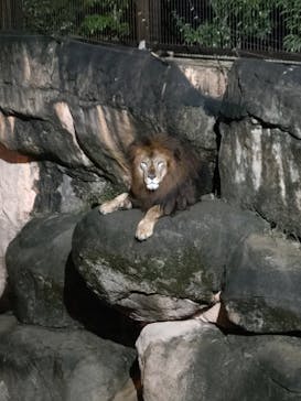 静岡市立日本平動物園に投稿された画像（2025/10/11）
