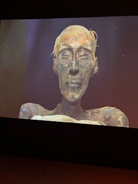 ACN ラムセス大王展 ファラオたちの黄金に投稿された画像（2025/10/11）