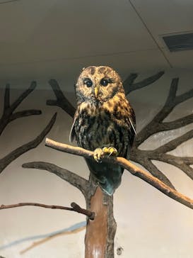 静岡市立日本平動物園に投稿された画像（2025/10/11）