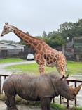那須サファリパークに投稿された画像（2025/10/12）