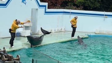 しながわ水族館に投稿された画像（2025/10/12）