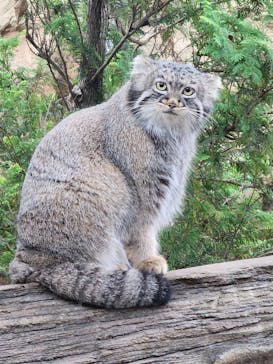 那須どうぶつ王国に投稿された画像（2025/10/12）