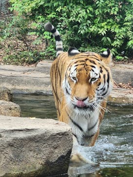 那須どうぶつ王国に投稿された画像（2025/10/12）