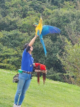 那須どうぶつ王国に投稿された画像（2025/10/12）