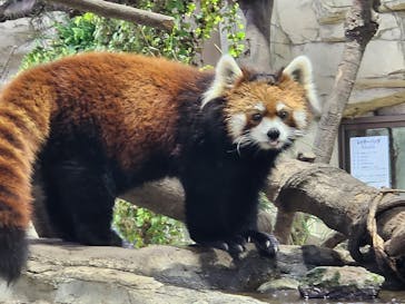 那須どうぶつ王国に投稿された画像（2025/10/12）