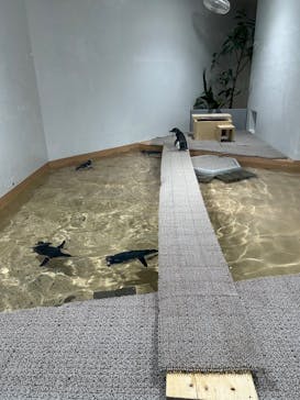 AOAO SAPPOROに投稿された画像（2025/10/12）