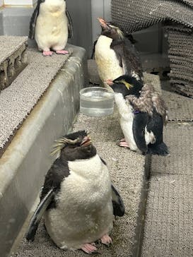 AOAO SAPPOROに投稿された画像（2025/10/12）