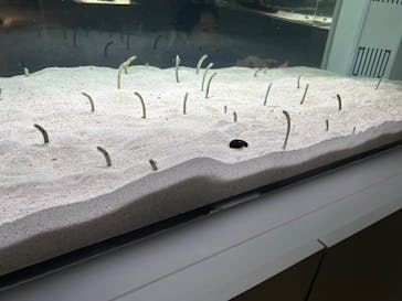 AOAO SAPPOROに投稿された画像（2025/10/12）