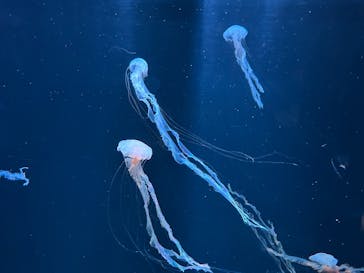 AOAO SAPPOROに投稿された画像（2025/10/12）