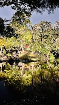夜間特別開園 秋の夜長の小石川後楽園2025に投稿された画像（2025/10/12）