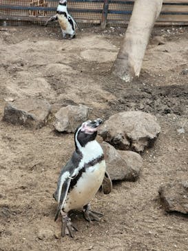 ゼロ距離水族館 伊勢シーパラダイスに投稿された画像（2025/10/12）