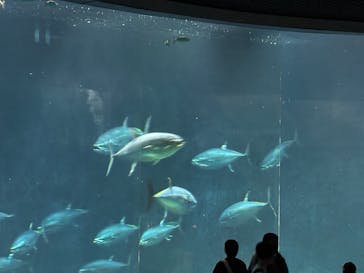 葛西臨海水族園に投稿された画像（2025/10/12）