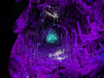 金曜ロードショーとジブリ展（静岡展）に投稿された画像（2025/10/12）