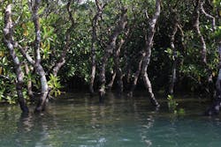 ウトロベースに投稿された画像（2025/10/12）