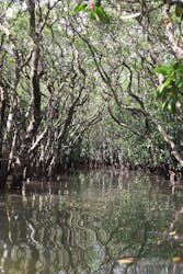 ウトロベースに投稿された画像（2025/10/12）