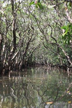 ウトロベースに投稿された画像（2025/10/12）