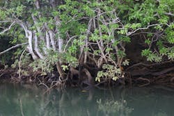 ウトロベースに投稿された画像（2025/10/12）