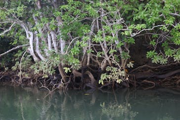 ウトロベースに投稿された画像（2025/10/12）