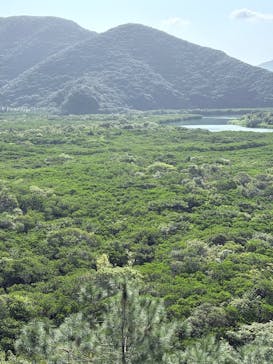 ウトロベースに投稿された画像（2025/10/12）