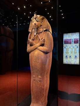 ACN ラムセス大王展 ファラオたちの黄金に投稿された画像（2025/10/12）