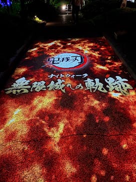 ニジゲンノモリに投稿された画像（2025/10/12）