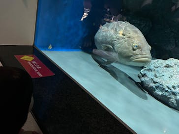 名古屋港水族館に投稿された画像（2025/10/12）