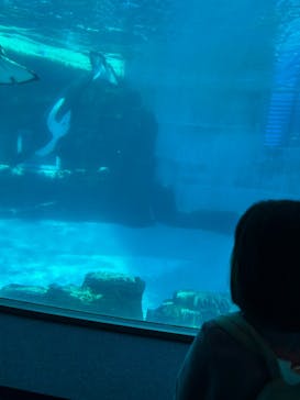 名古屋港水族館に投稿された画像（2025/10/12）