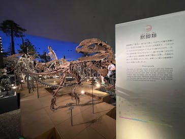 福井県立恐竜博物館に投稿された画像（2025/10/12）