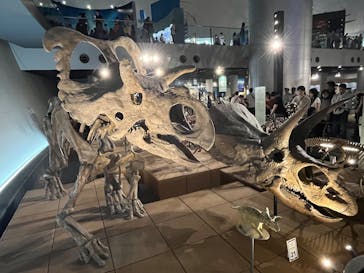 福井県立恐竜博物館に投稿された画像（2025/10/12）