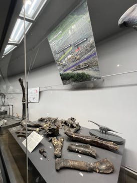 福井県立恐竜博物館に投稿された画像（2025/10/12）