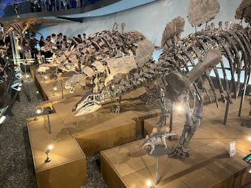 福井県立恐竜博物館に投稿された画像（2025/10/12）