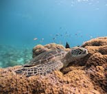 アイナ石垣島に投稿された画像（2025/10/12）