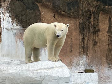 天王寺動物園に投稿された画像（2025/10/12）