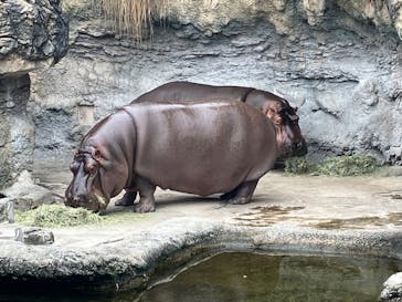 天王寺動物園に投稿された画像（2025/10/12）