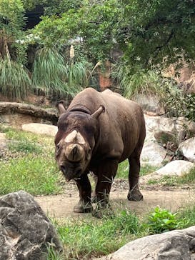 天王寺動物園に投稿された画像（2025/10/12）