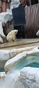恩賜上野動物園に投稿された画像（2025/10/12）